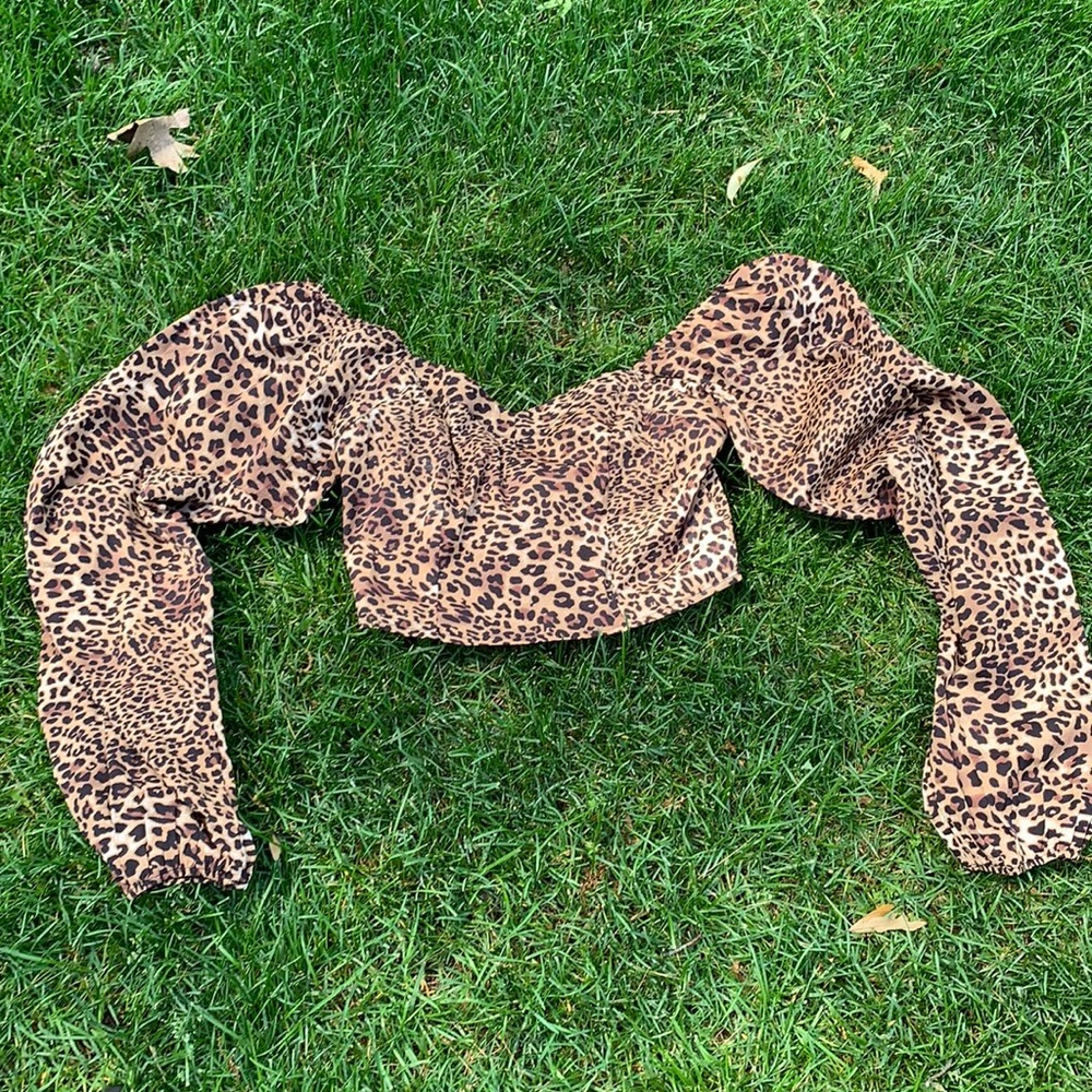 Off the shoulder leopard print crop top